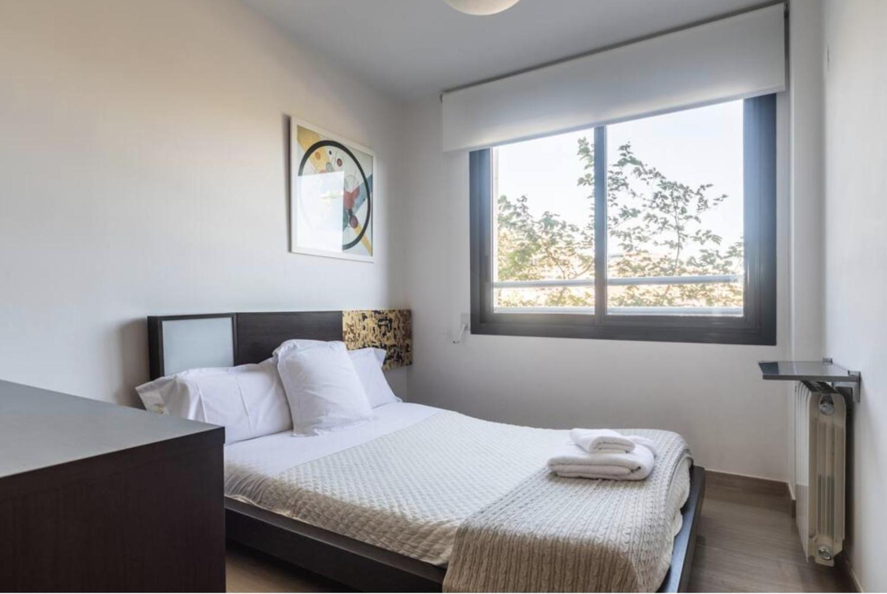 Art And Sciences View Luxury Apartment 瓦伦西亚 外观 照片